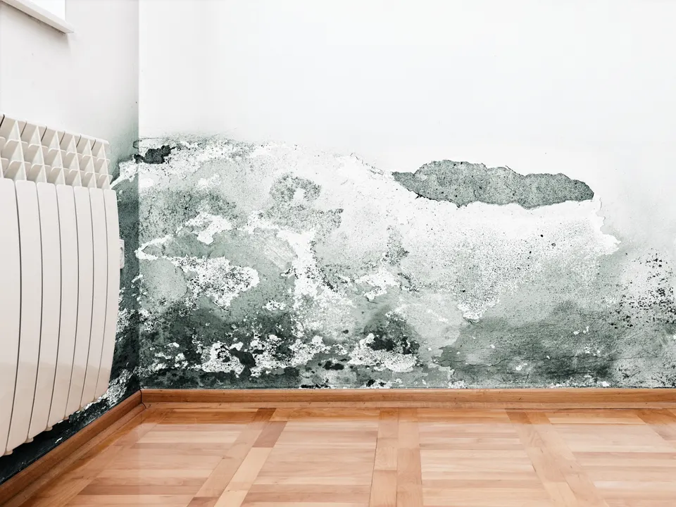Damp Proofing by Steadfast Roofing and Building