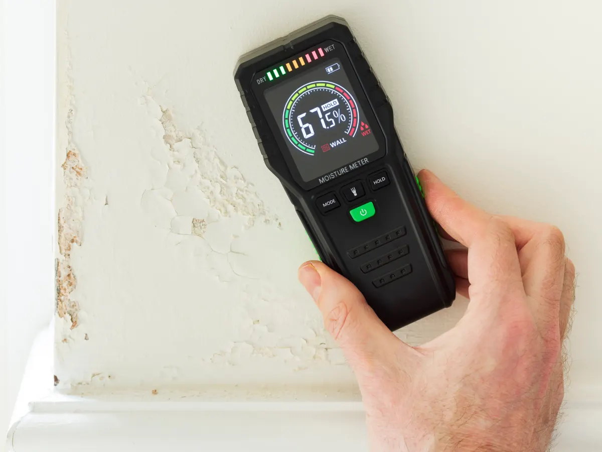 Damp Proofing in Kent by Steadfast Roofing and Building